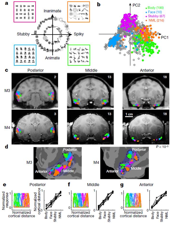 nature发现背后的机制,nature详细解析
