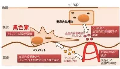告诉你到底值不值得买,大家觉得值不值得买
