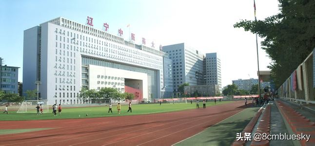 中医药大学这几年是否热门,辽宁中医药大学全国排行榜