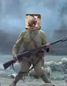 改善o型腿的日常小动作,o型腿简单粗暴的方法