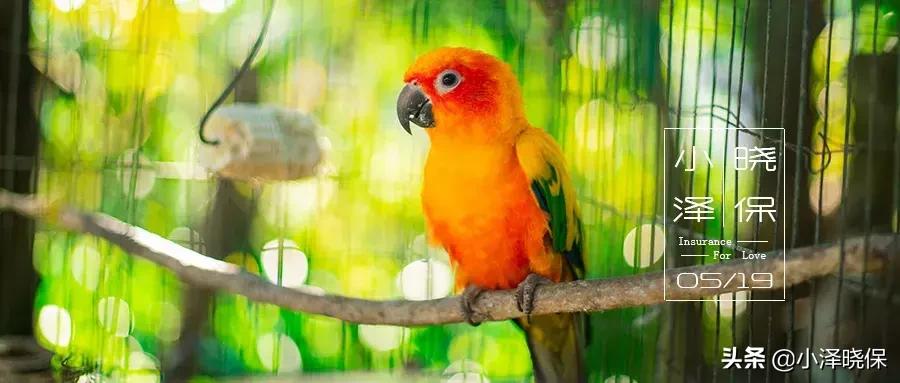 什么样的人适合做保险经纪人,我为什么选择保险经纪