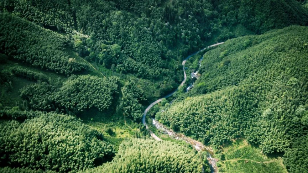 农夫山泉推出武夷山泡茶山泉水,农夫山泉饮用水上市