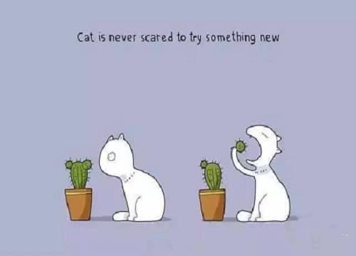 小马过河快速方法,小马过河最佳方案