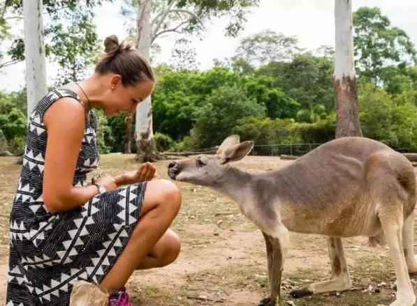 去澳大利亚需要学会什么技能,第一次出国去澳大利亚怎么玩