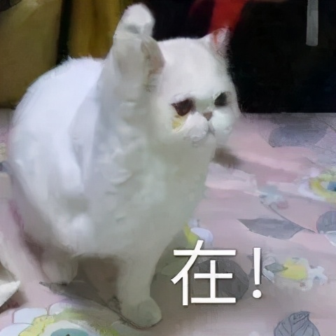 拔倒刺化脓处理过程,拔手指倒刺致骨髓炎住院