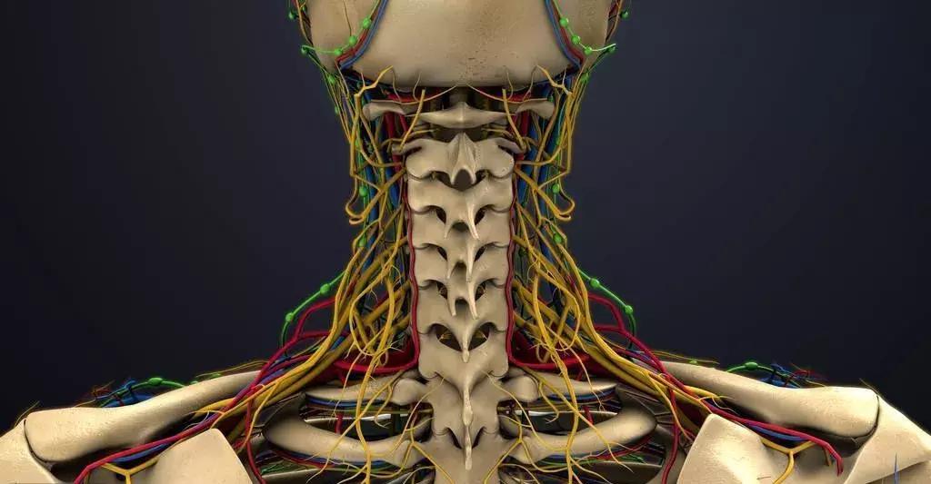 牵引器能根治神经型颈椎病吗,牵引颈椎腰椎器械