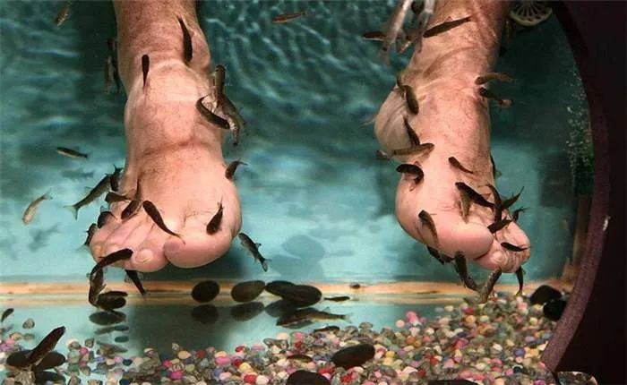 云浮硫磺温泉排名前十名,藏在云浮新兴深山里的温泉度假村