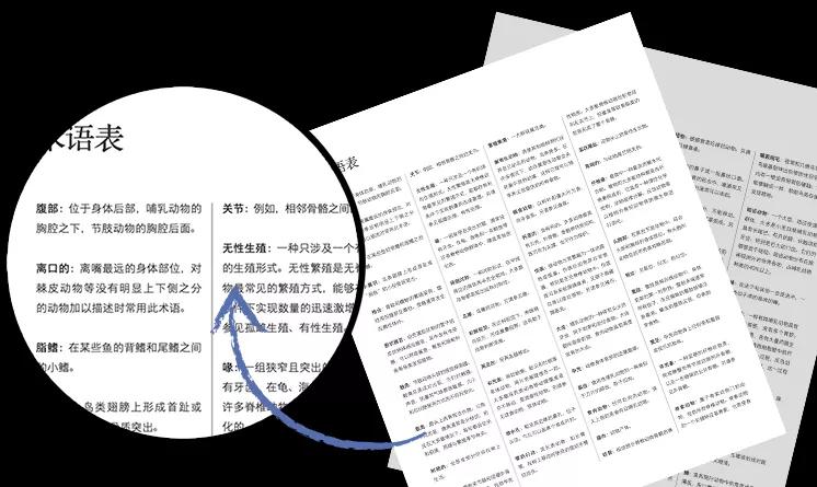 揭秘动物世界的“冷知识”,动物世界中的奇妙之处