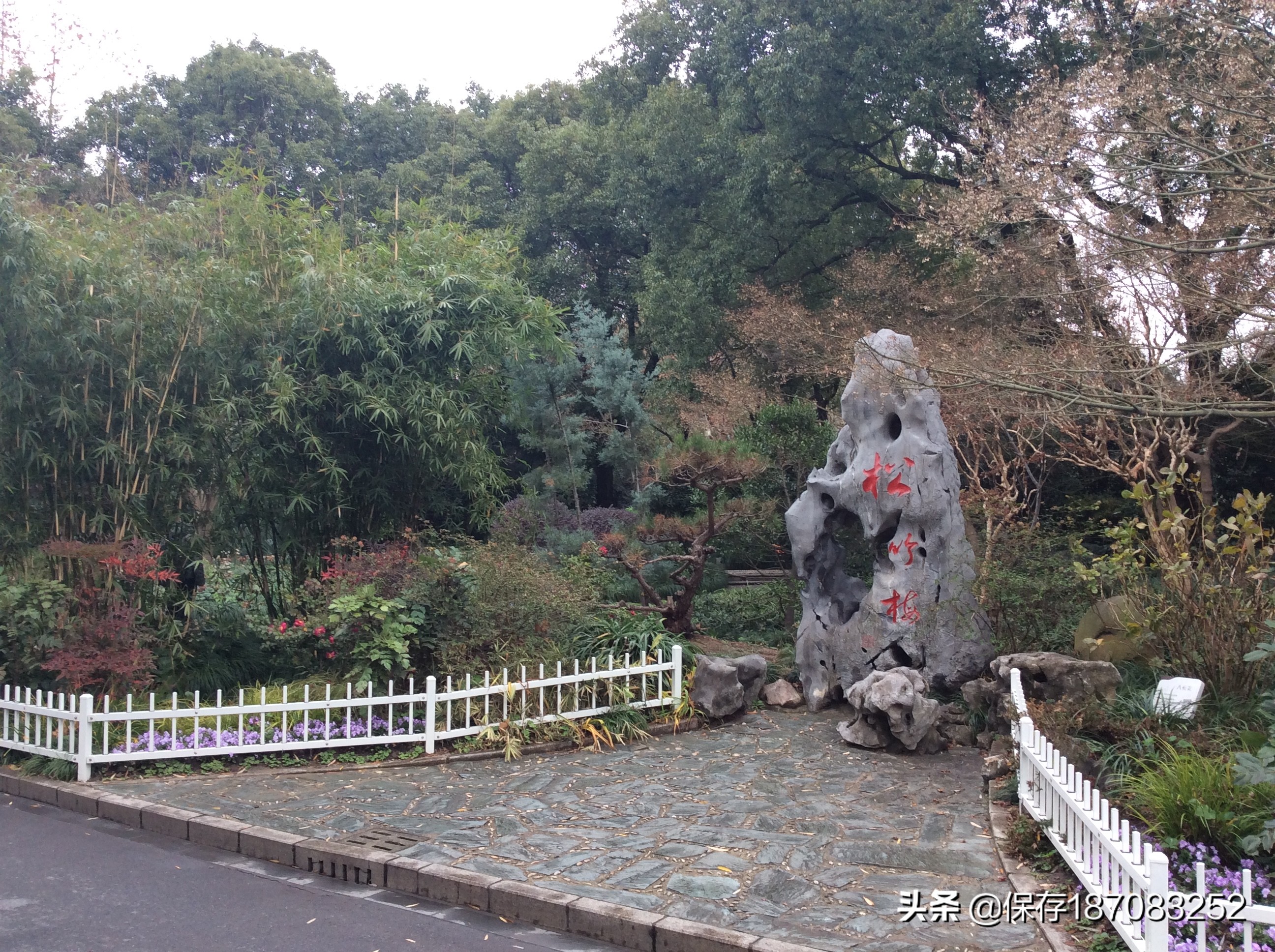 上海普陀山公园,普陀区长风公园在哪