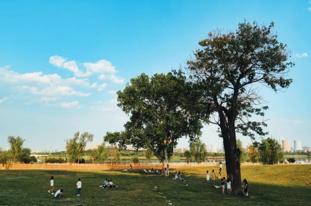 盛夏必去的网红打卡地,暑假适合去的网红打卡地