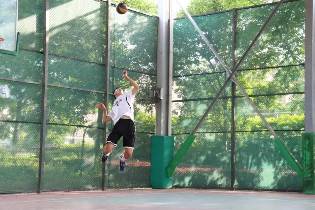 篮球足球排球台球网球,篮球足球羽毛球乒乓球排球图片