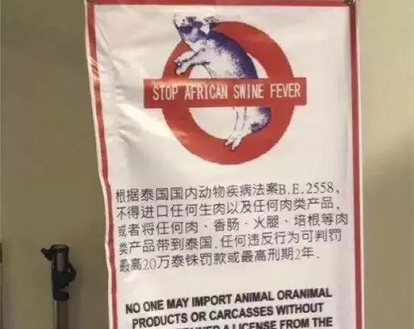 过海关什么东西不能带,过海关为什么不能带东西