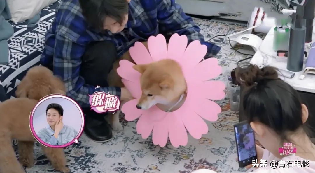 明星蒋梦婕,蒋梦婕我家那闺女植发片段