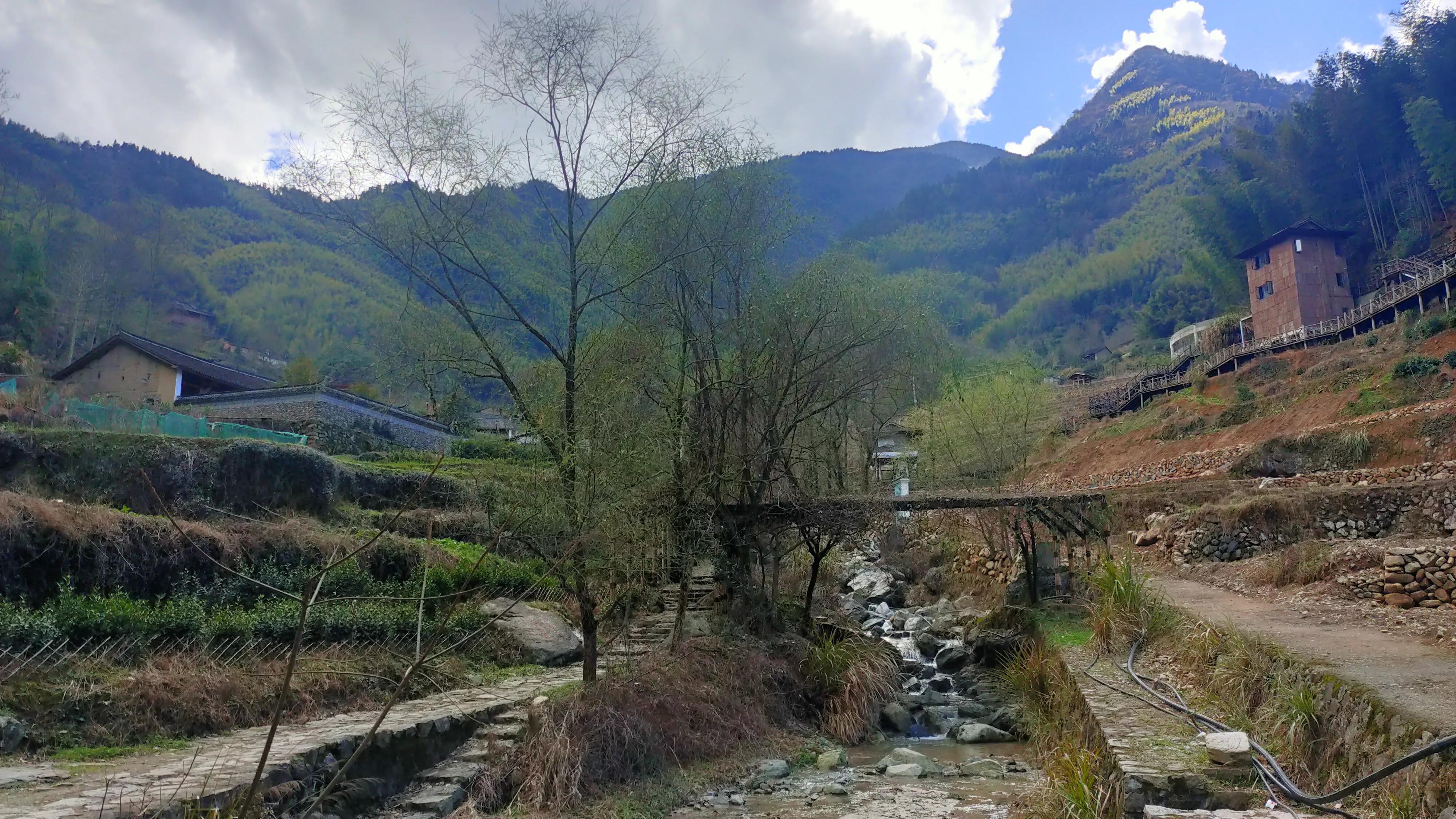 我们一起逃离喧嚣的城市,畲乡景宁东弄半日游文案