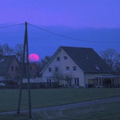 我像一棵树栽在溪水边,像一棵树栽在溪水旁