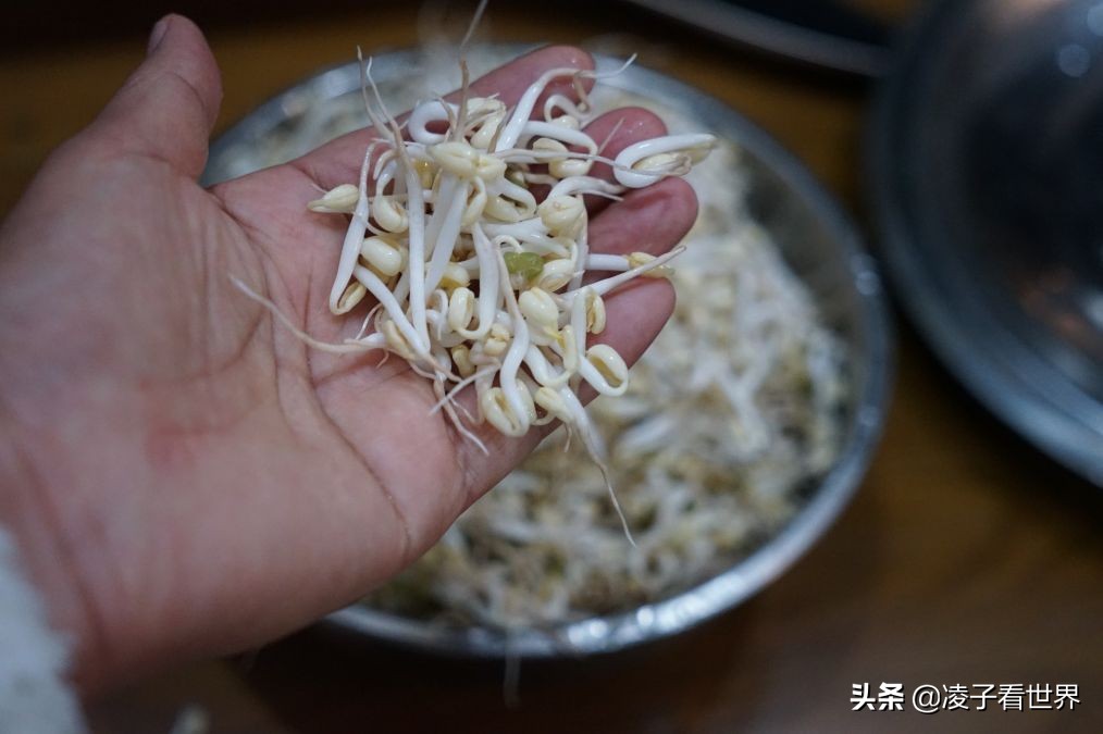 矿泉水瓶发豆芽的做法,黄豆芽怎么泡发做豆芽