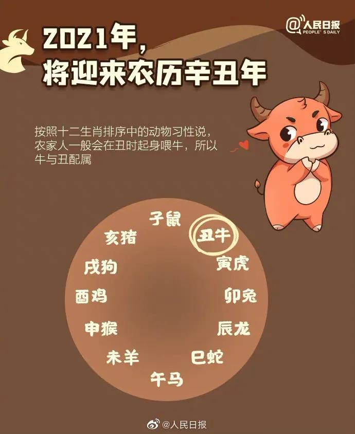 农历牛年知识点总结,农历牛年冷知识
