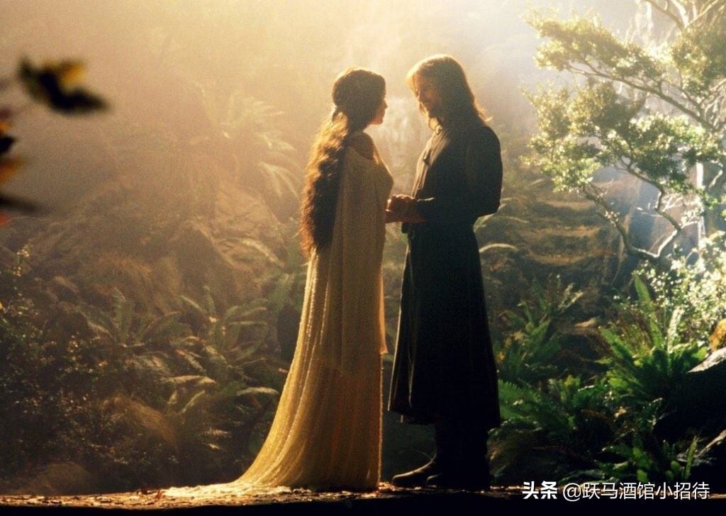 最完整指环王编年史,魔戒指环王第一部