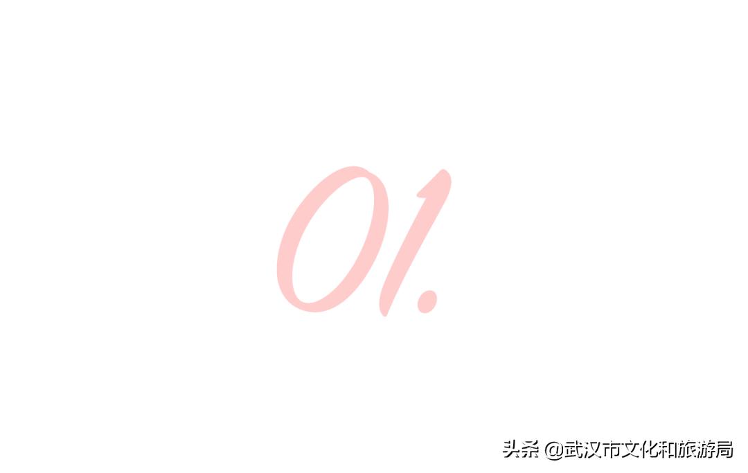 武汉东湖樱花门票,武汉看樱花的景点