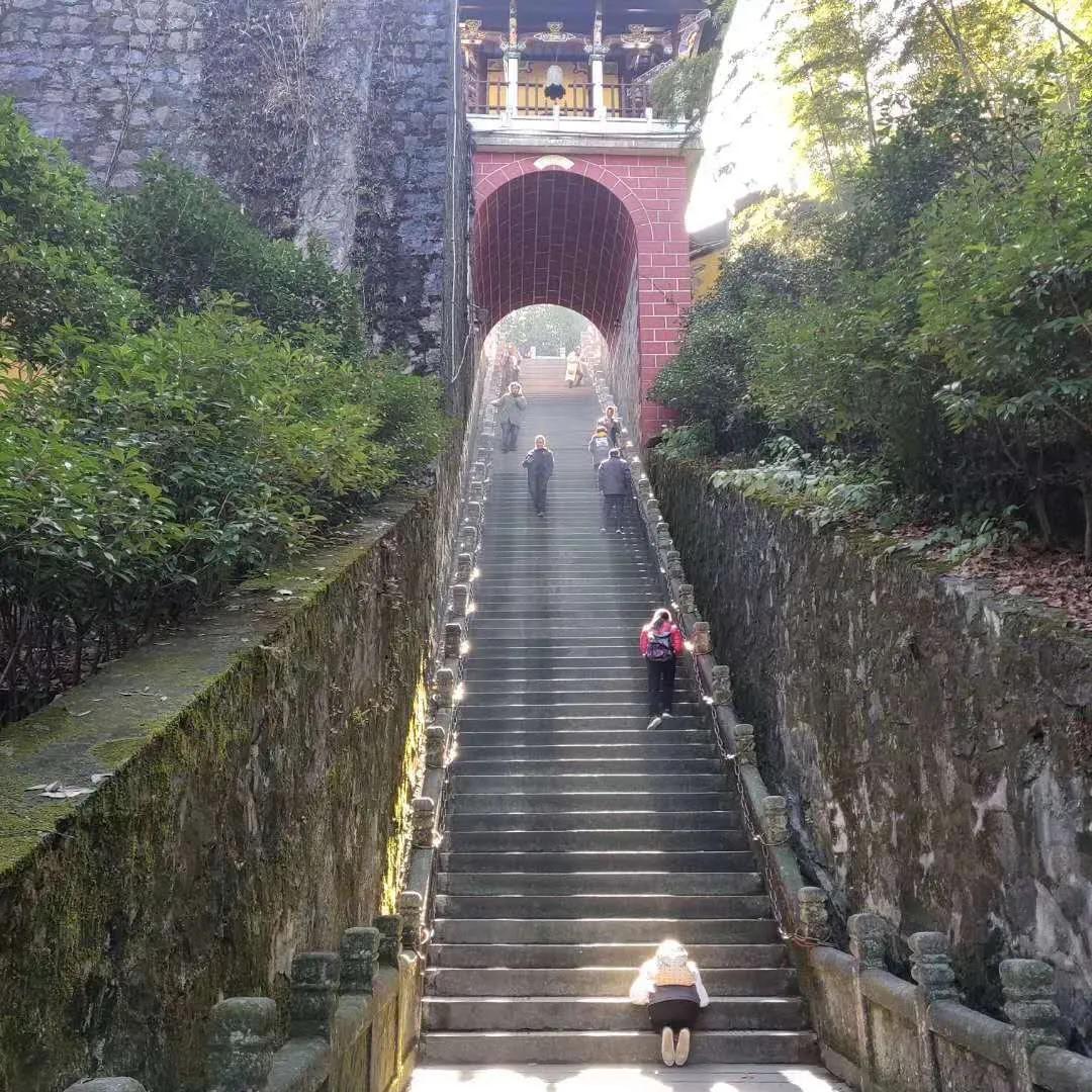 到九华山三叩九拜地藏王菩萨,一个女孩去九华山跪拜师太视频