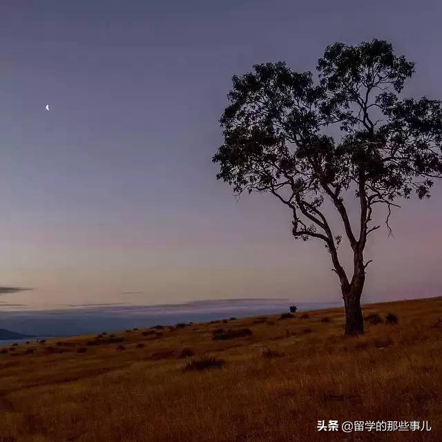 澳大利亚有哪些旅游胜地,澳大利亚有什么好玩的免费景点
