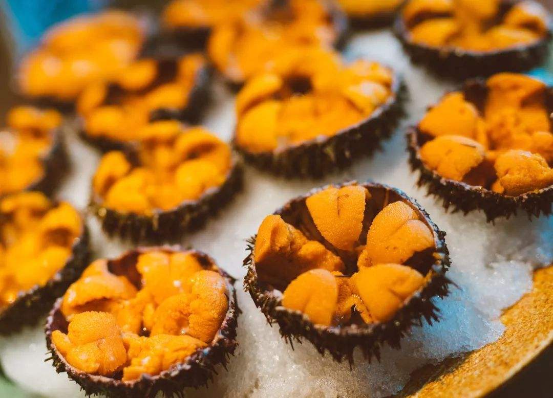 海胆到底多好吃,海胆原来是这么吃的