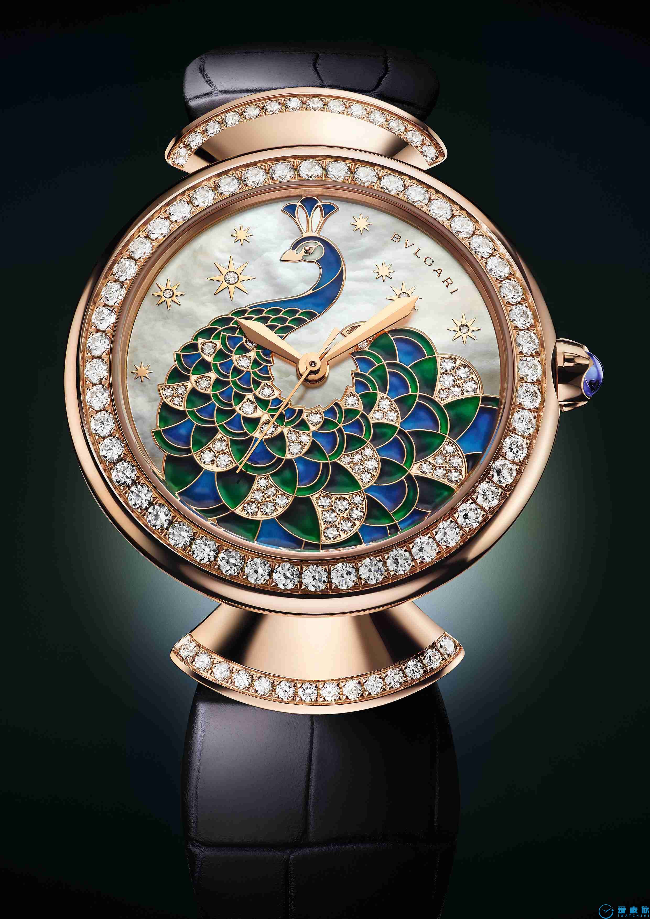 天生是主角,绽放雀之光彩BVLGARI宝格丽Divas’Dream系列腕表