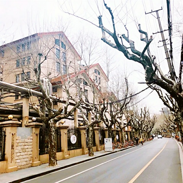 上海必去几条路攻略,上海值得去的路线