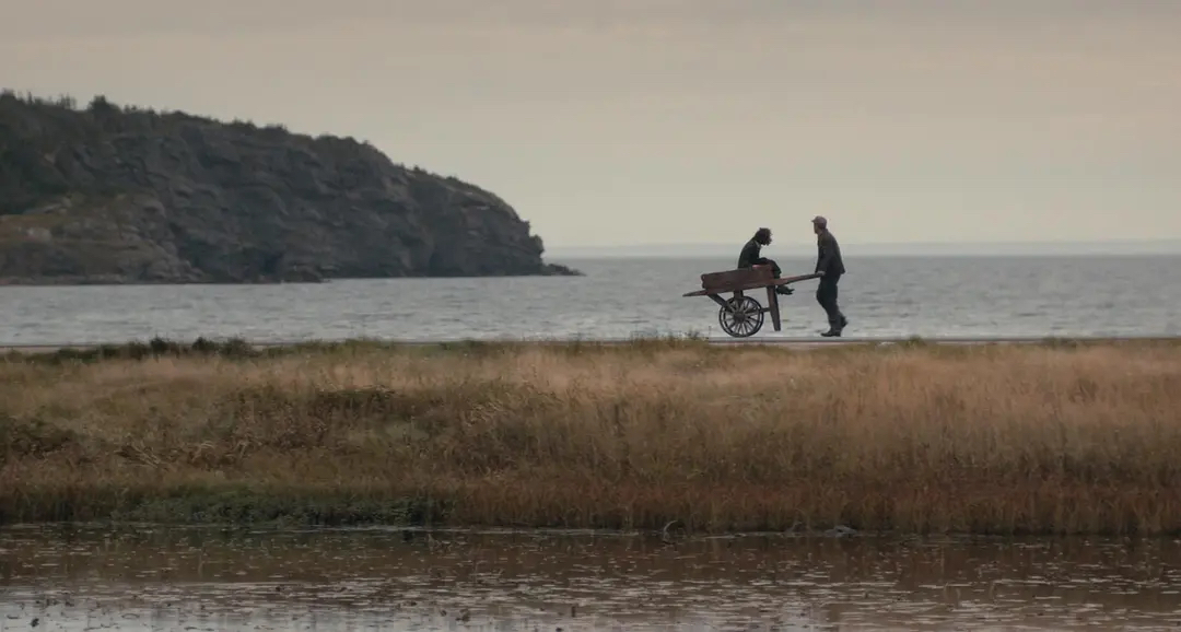 直男癌是怎么形成的呢,关于直男癌的叙述