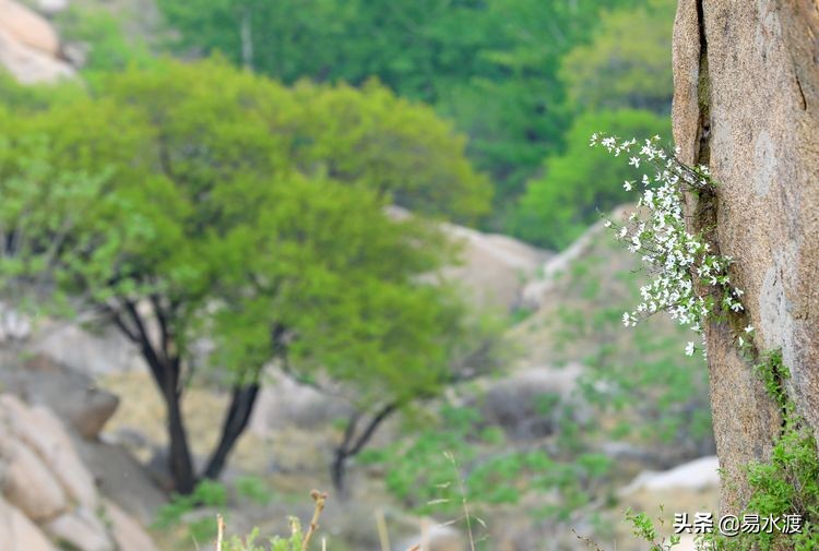 易县八百山,易县一日游太行水镇