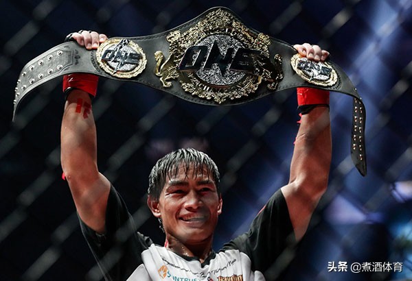 世界冠军大揭秘,世界冠军深度解析