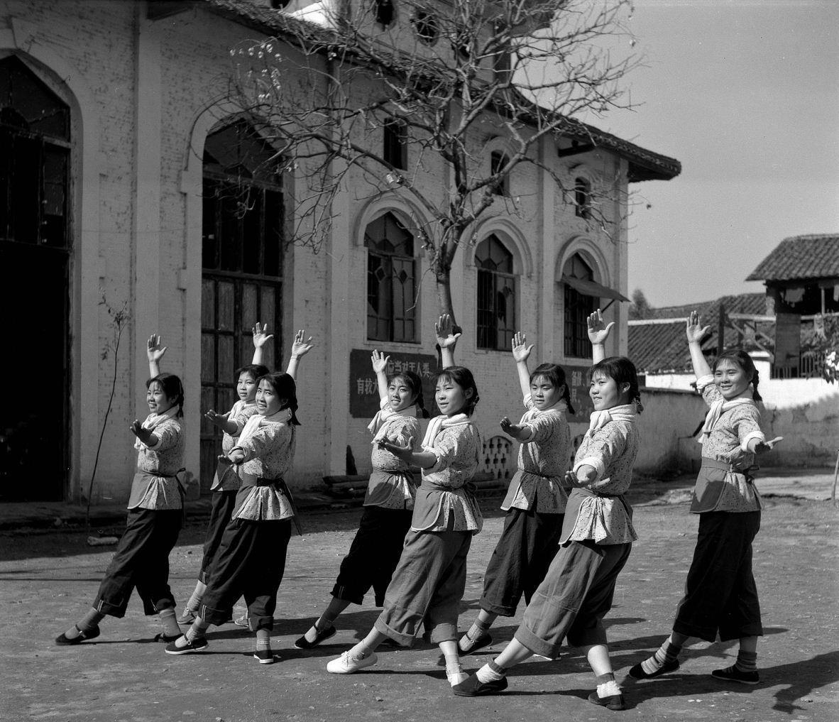 杨大学是什么电视剧的人物,杨大学是哪部电视剧中人物