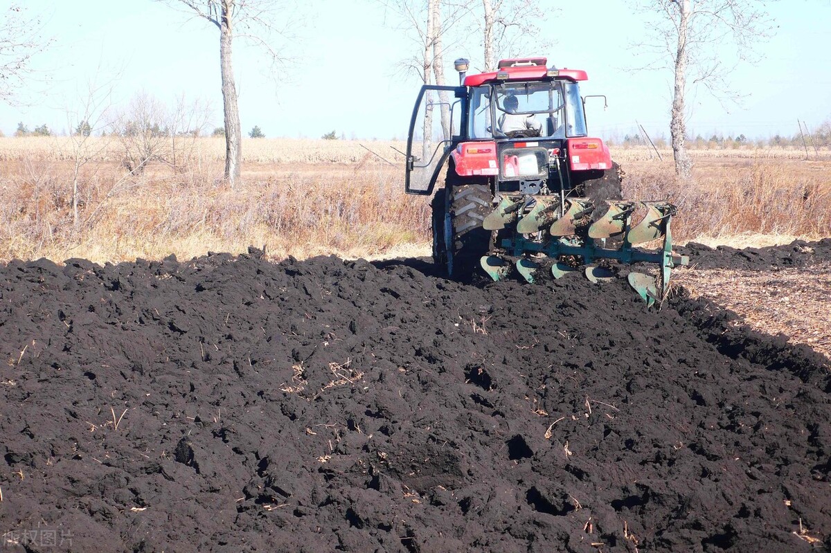 葱蒜锈病是什么原因,葱蒜处理方法