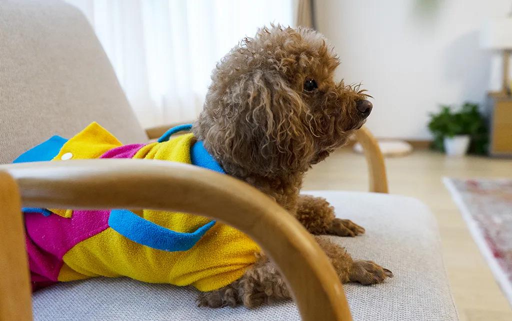 清凉山居叠拼没证,清凉山居别墅300平