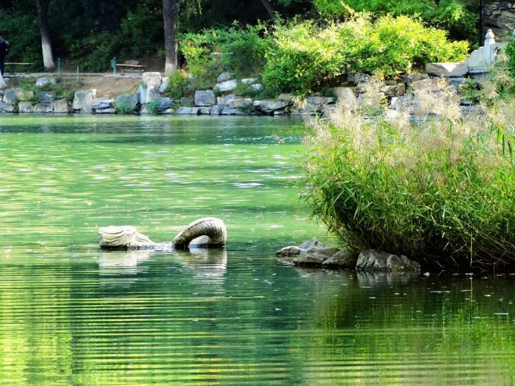 漫步北大校园,北大印象图片