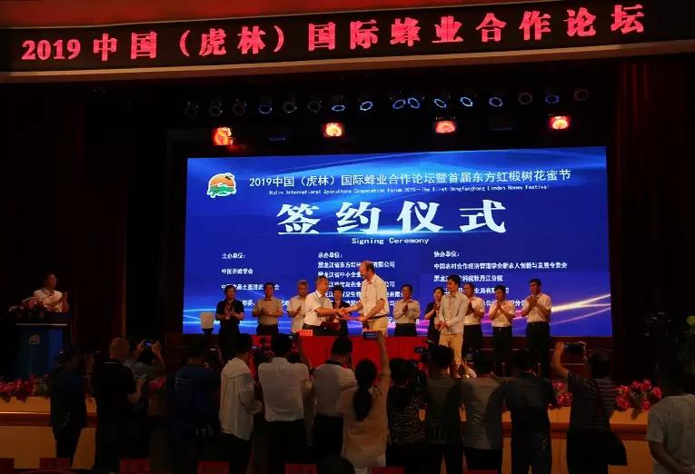 虎林战立新,虎林市黑蜂雪蜜