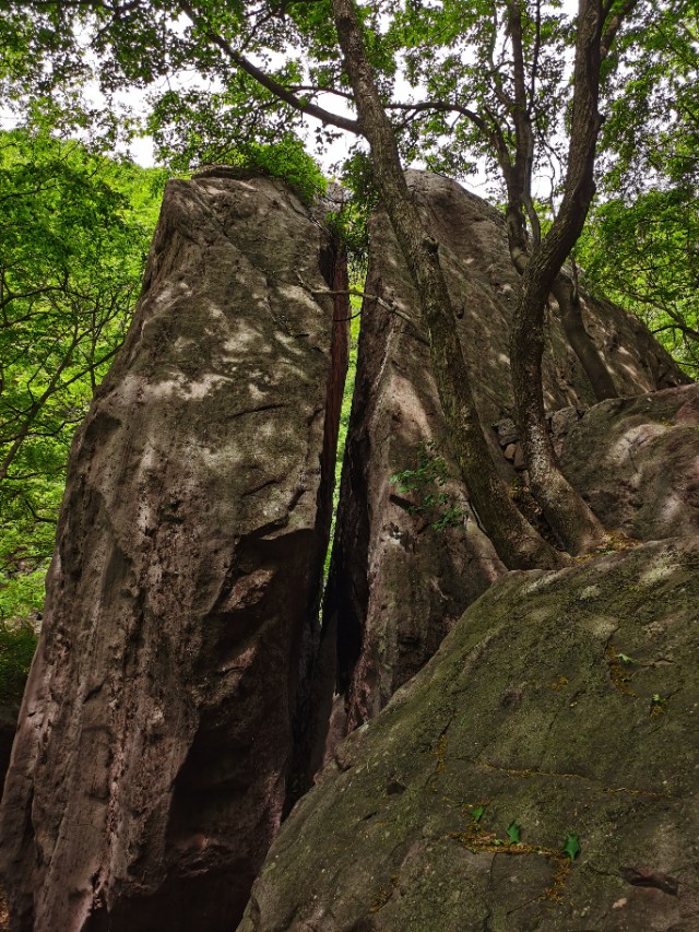 历山舜王坪游记,历山女英峡的历史