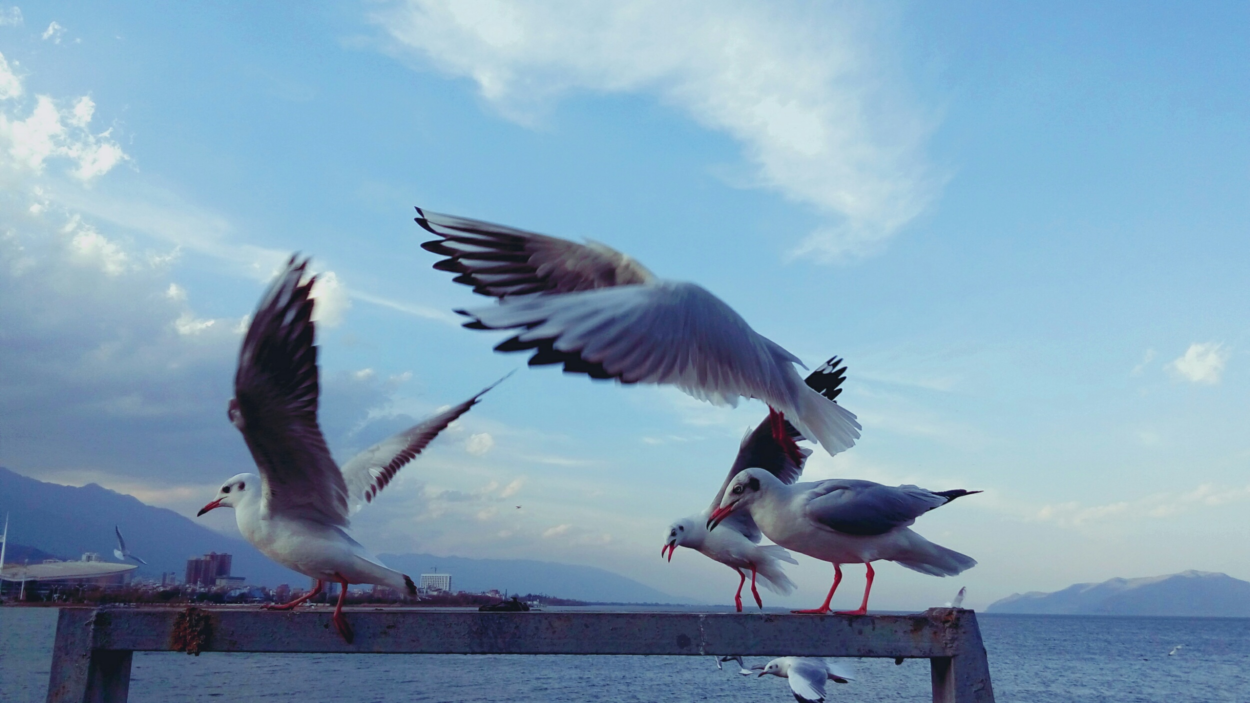 走进洱海亲近自然,走进丽江古城邂逅这一抹浪漫