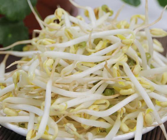 豆芽泡发方法,豆芽泡发的过程