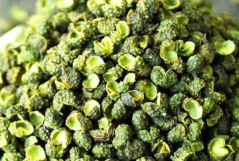 花椒种植的条件和技术,花椒种植靠的是科学技术管理