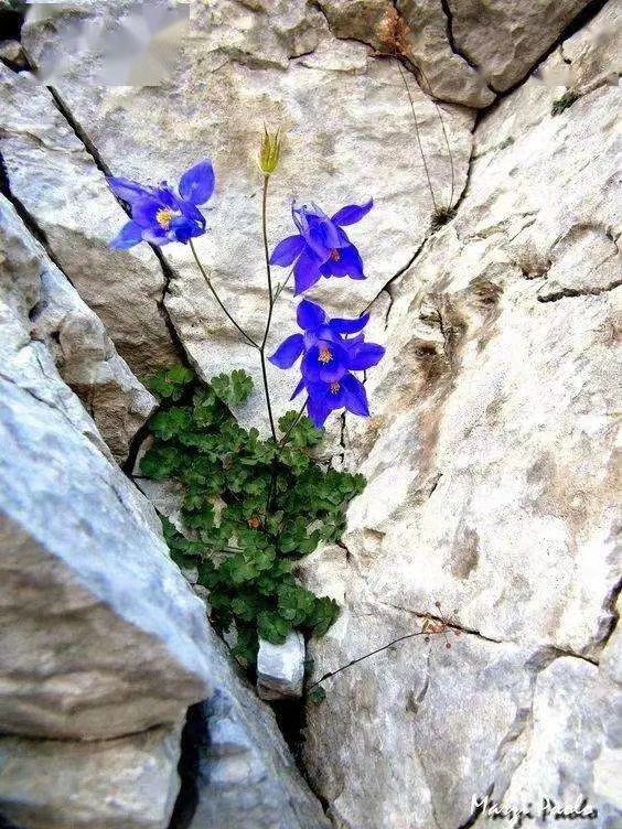 北京地区退休流程及注意事项,干部退休移交地方注意事项及禁忌