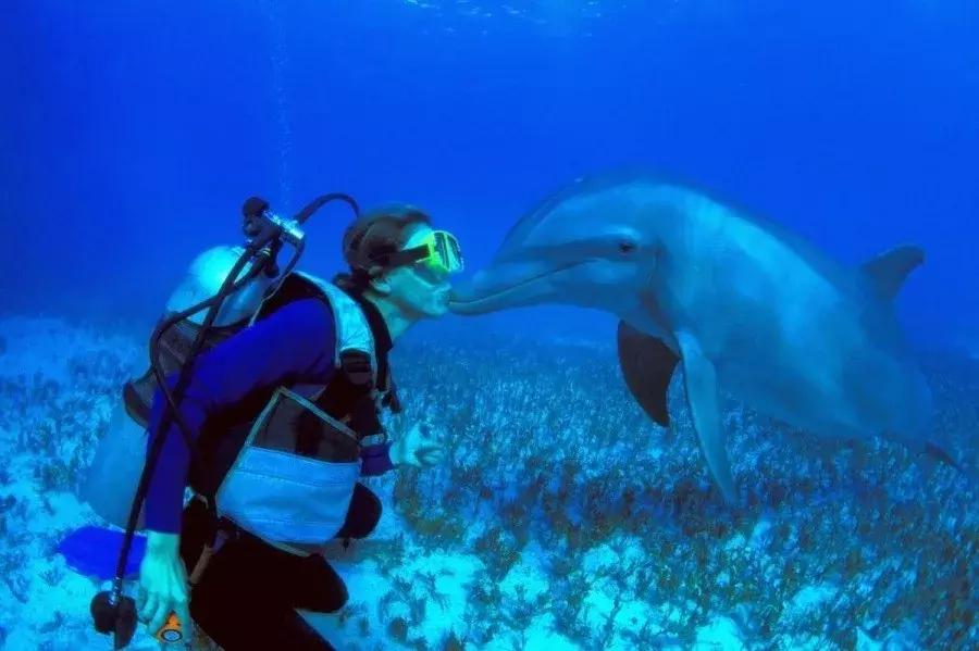 普吉海岛推荐,比普吉岛便宜的东非海岛