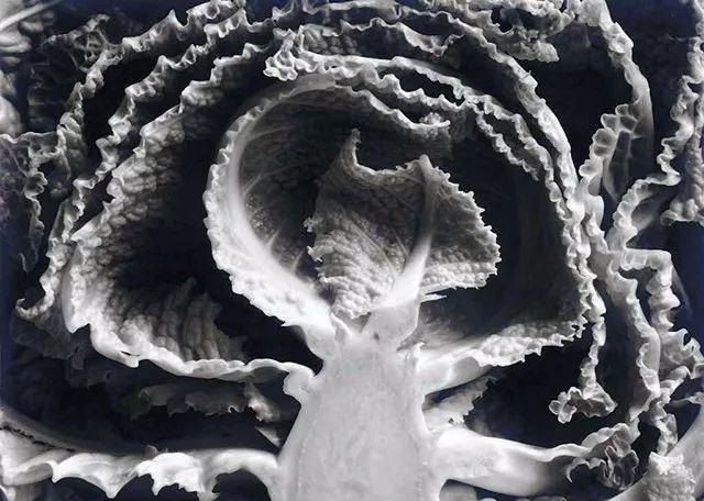 摄影师黑白拍摄技巧,如何让摄影作品透彻清晰