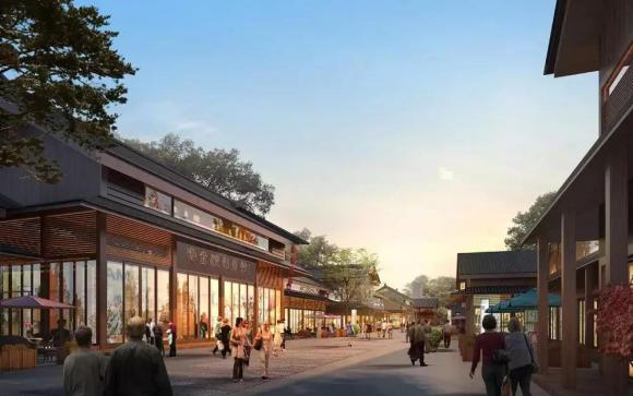 带你去杭州湾新区,带你走进宁波