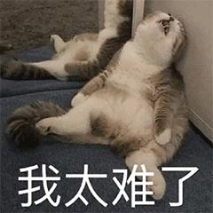 word里面为什么多余页删不掉,word里有的格式怎么也清除不掉