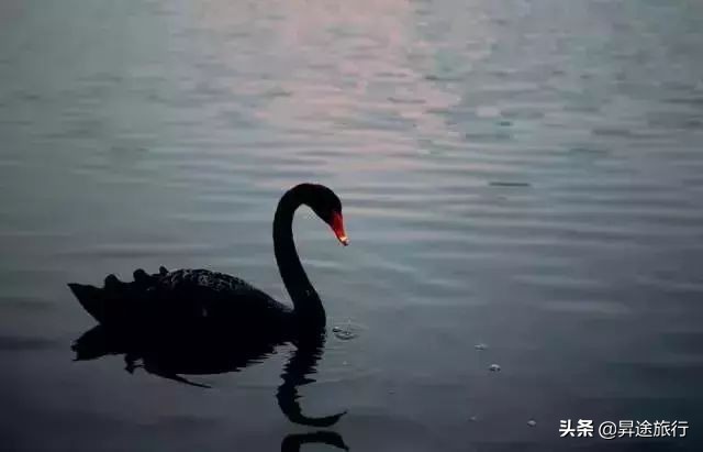 惠州市全球候鸟度假酒店,惠州全球候鸟度假别墅2区