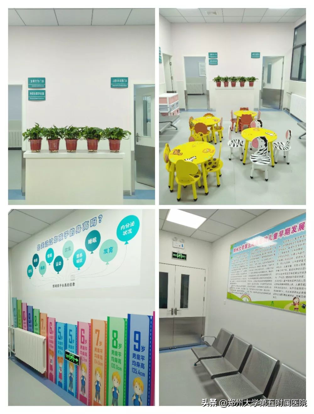 骨龄有几种评估方法,关于骨龄和骨龄系统方面科普