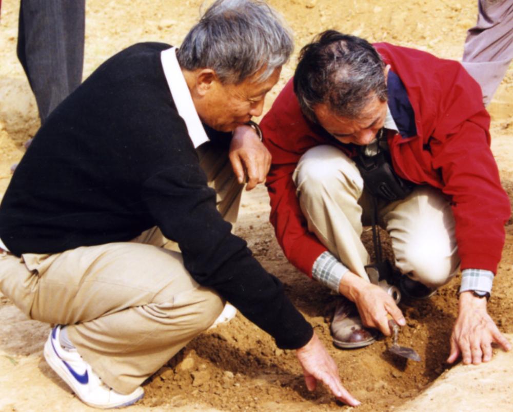 鍟嗕笜杩斿晢鏀跨瓥,鍟嗕笜瀵诲晢缁撴灉