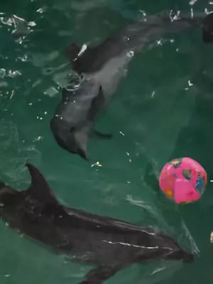 韩国曹溪寺旅游攻略,11月底韩国首尔旅游攻略