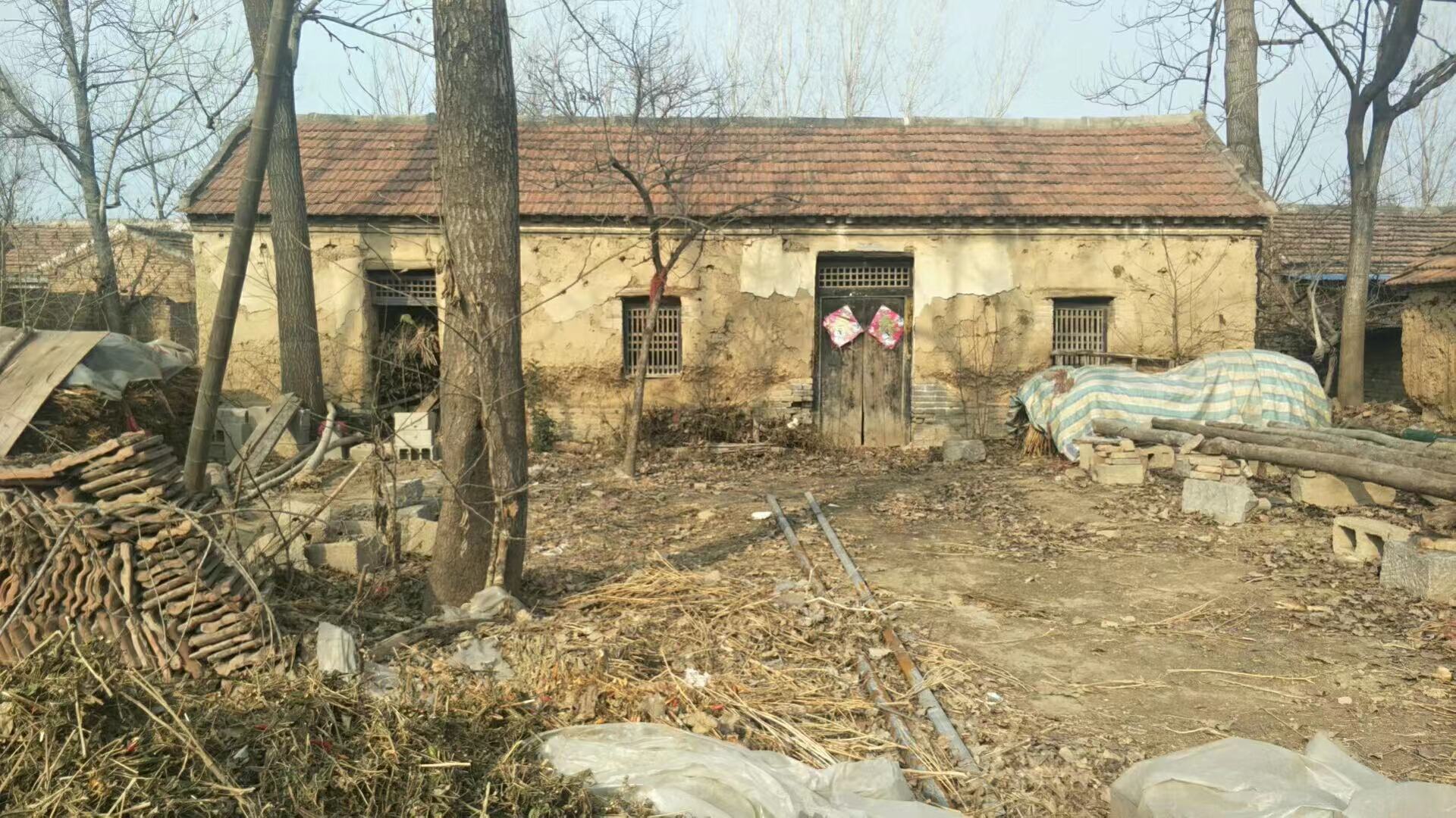 大金乡卧虎藏龙之地,藏龙卧虎村